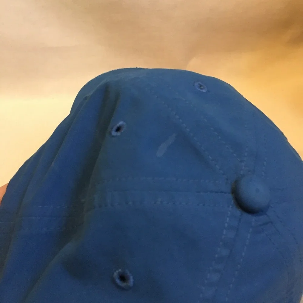 Nike Hat Cap Mens Blue Strap Back Logo Modern Logo Casual Preppy Outdoor Swoosh